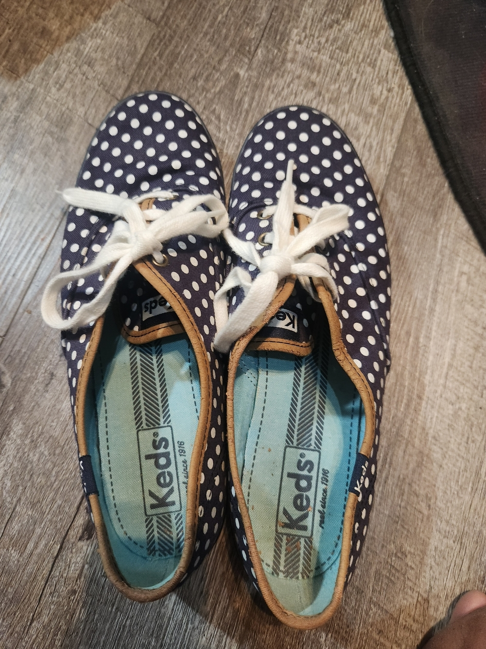Keds Kids Navy Polka Dot Canvas Sneakers with White Laces